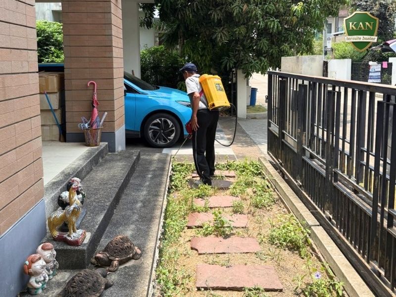บริการ Pest Control กำจัดปลวก มด แมลงสาบ หนู อบฆ่าเชื้อโรคครบวงจร